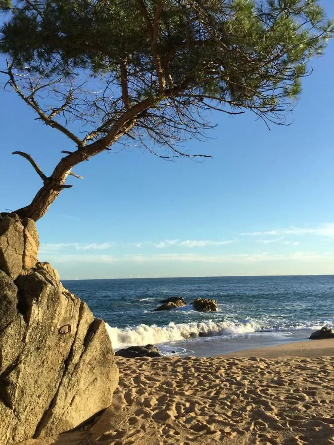Appartement Politur à Castell-Castell-Platja d'Aro