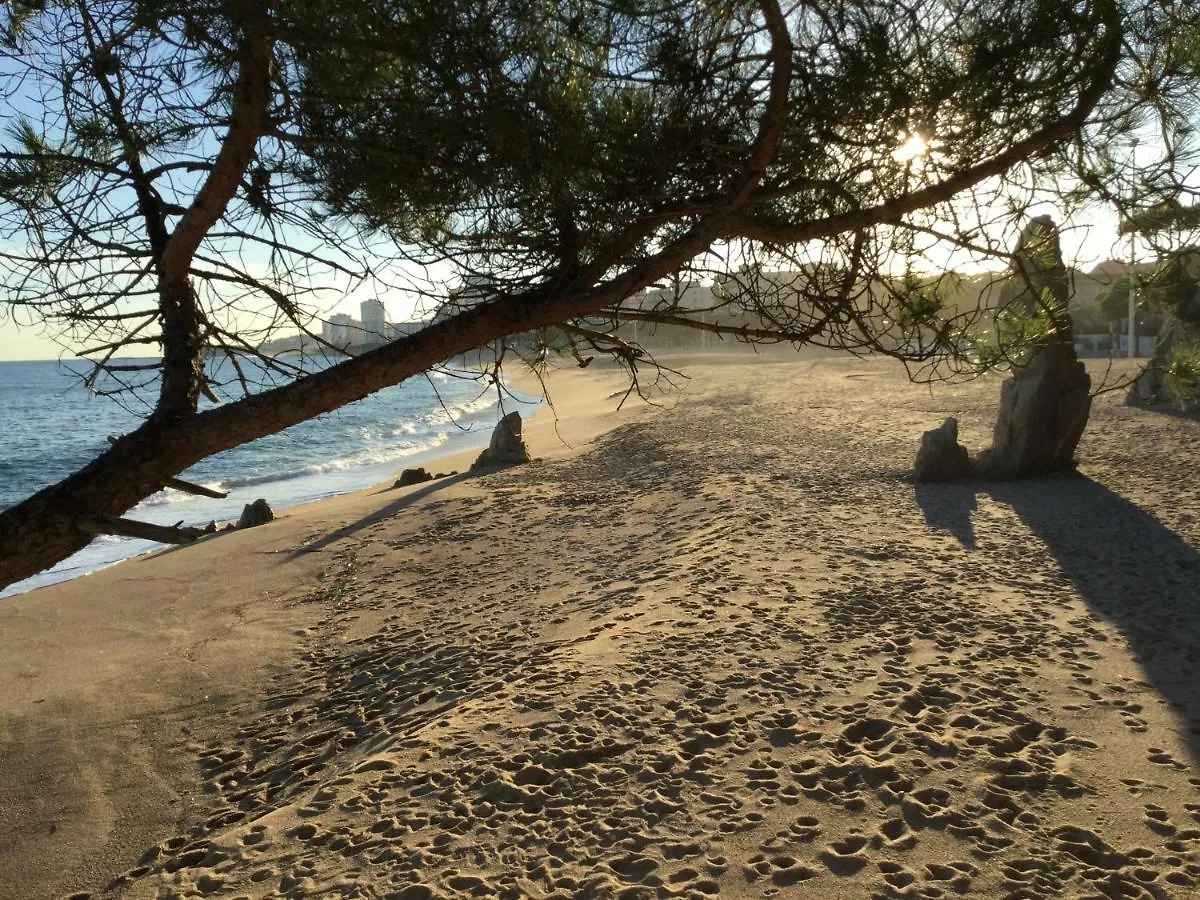 Politur Apartment Platja d'Aro